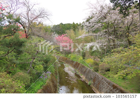 東京八王子市田守神社 東京八王子市田守神社 103565157