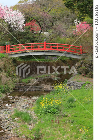 東京八王子市田守神社 103565165