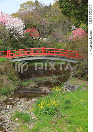 東京八王子市田守神社 103565166