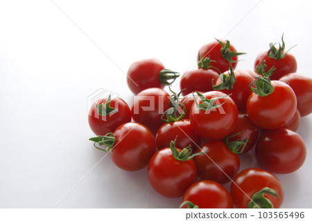 mini tomato tomato cherry tomato 103565496