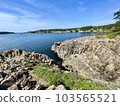 High and sharp rock face in Tojinbo, Fukui Prefecture 103565521