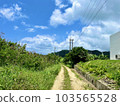 Ishigaki island's beautiful blue sky and natural road 103565528