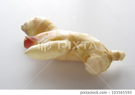 ginger new ginger new ginger 103565593