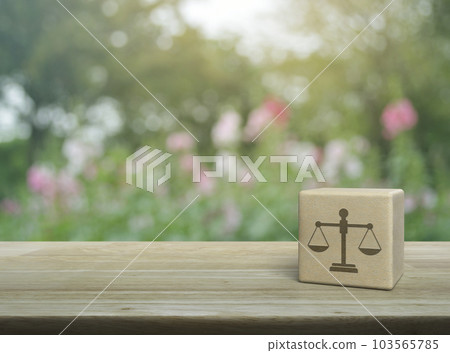 Business legal service concept 103565785