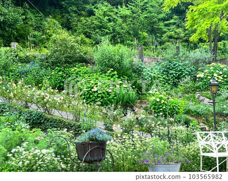 滿是鮮花和綠意的花園 103565982