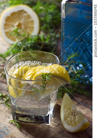 Cocktail with blue gin , tonic and lemon . Cocktail with blue gin , tonic and lemon . 103566048