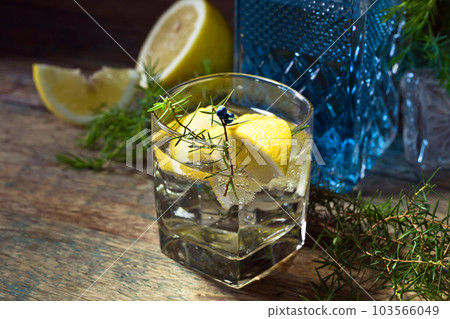 Cocktail with blue gin , tonic and lemon . Cocktail with blue gin , tonic and lemon . 103566049