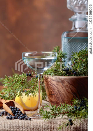 Blue gin, lemon and a branch of juniper with berries. Blue gin, lemon and a branch of juniper with berries. 103566066