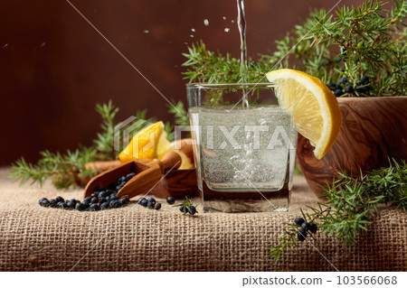 Cocktail gin, tonic with lemon and a branch of juniper with berries. Cocktail gin, tonic with lemon and a branch of juniper with berries. 103566068