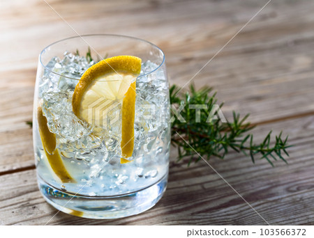 Gin with lemon and ice 103566372