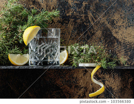 Gin , tonic with slices of lemon and a sprig of juniper . Gin , tonic with slices of lemon and a sprig of juniper . 103566380