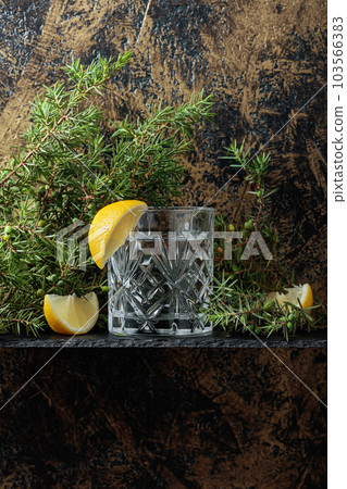 Gin , tonic with slices of lemon and a sprig of juniper . 103566383