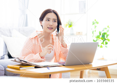 在家工作的女商人 在家工作的女商人 103566535