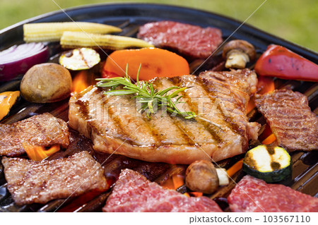 barbecue scene 103567110