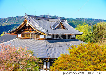 Shogunzuka Seiryuden in spring, Kyoto 103567373