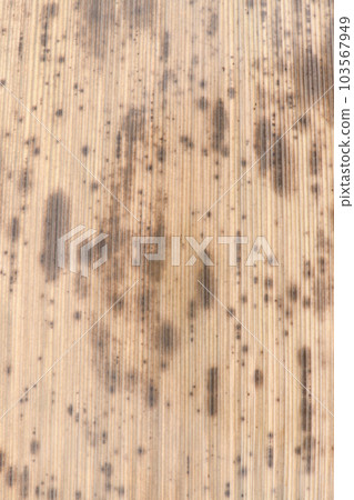 Black bamboo bamboo skin (surface) / background material 103567949