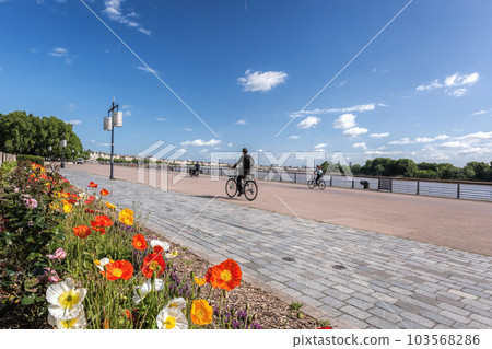 Bordeaux with cyclist on spring promenade along Garonne river in France Bordeaux with cyclist on spring promenade along Garonne river in France 103568286
