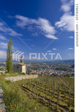 Grand cru vineyard and Chapel of Saint Christopher, Tain l'Hermitage, Rhone-Alpes, France Grand cru vineyard and Chapel of Saint Christopher, Tain l'Hermitage, Rhone-Alpes, France 103568621