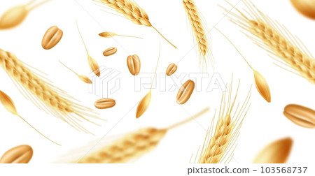 Realistic wheat ears background. Flying ripe spikelets with grains and seeds, focus and defocus, organic food agricultural culture, bakery and beer banner backdrop. Utter vector concept 103568737