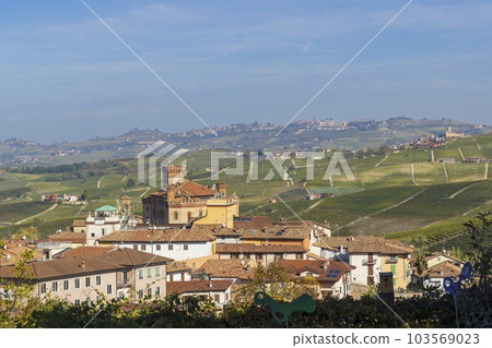 Castle and town with vineyard in Barolo, Langhe region, Piedmont, Italy 103569023