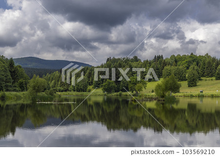 Pond near Poniatow Rudawa, Orlicke mountains, Okres Kladzko, Poland 103569210