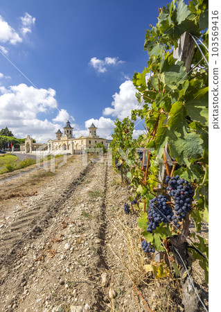 Vineyards with Chateau Cos d'Estournel, Bordeaux, Aquitaine, France 103569416
