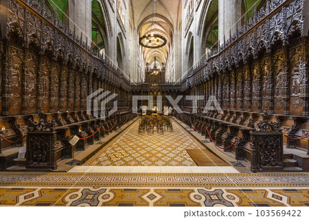 Auch Cathedral (Cathedrale Sainte-Marie d Auch), UNESCO site, Midi-Pyrenees, France 103569422