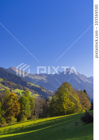 Typical landscape near Sankt Gerold and Bludenz, Bregenzer Wald, Bregenz district, Vorarlberg, Austria 103569580