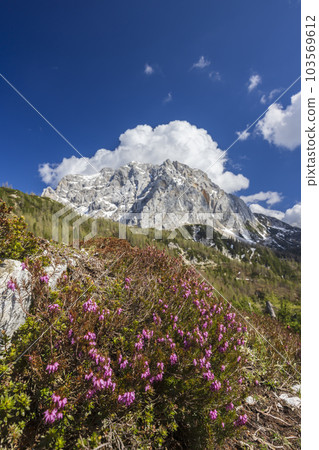 Landscape near Vrsic, Triglavski national park, Slovenia Landscape near Vrsic, Triglavski national park, Slovenia 103569612