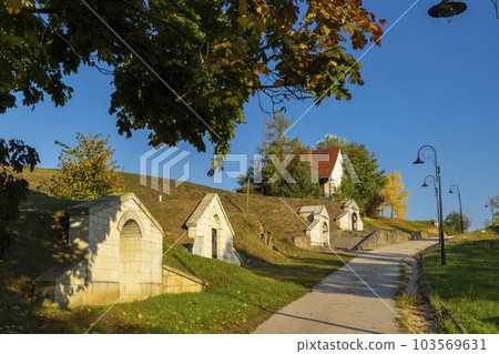 Traditional wine cellars in Tolcsva, Great Plain, North Hungary Traditional wine cellars in Tolcsva, Great Plain, North Hungary 103569631