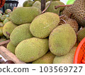 Durian for sale at a street stall in Bangkok, Thailand 103569727