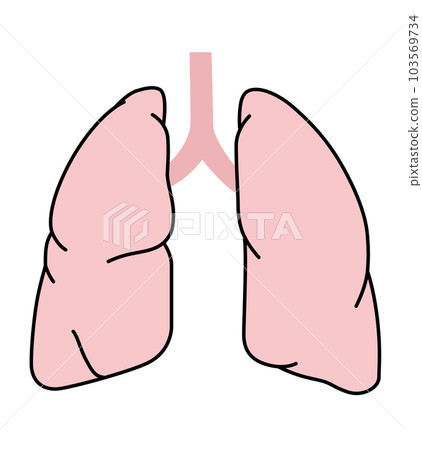 肺的醫學插圖 103569734