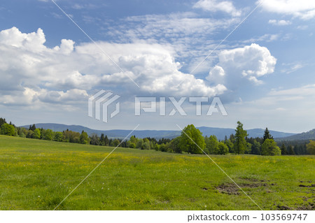 Typicallandscape near Modrava, Nation park Sumava, Czech Republic 103569747
