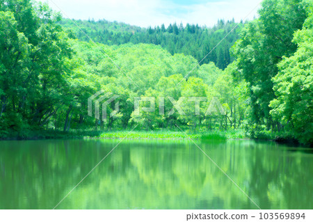 Refreshing early summer image of fresh green forest Refreshing early summer image of fresh green forest 103569894