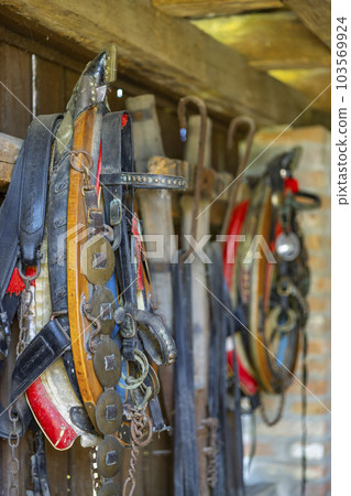 Old country farm, Moravska Nova Ves, Southern Moravia, Czech Republic Old country farm, Moravska Nova Ves, Southern Moravia, Czech Republic 103569924