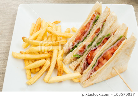 sandwich ham cheese and french fries on a plate 103570037