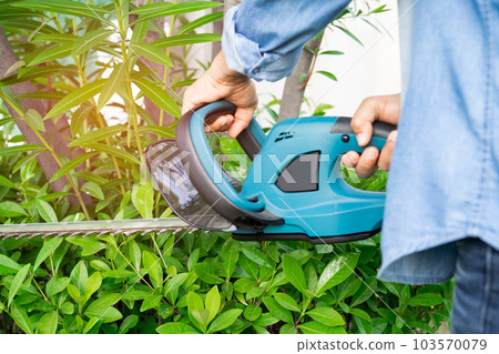 Woman taking care and growing plants, Hobby planting home garden, ornamental pruning. 103570079