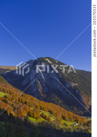 Typical landscape near Damuls, Bregenzer Wald, Bregenz district, Vorarlberg, Austria 103570333