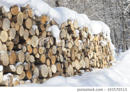 堆積的日誌 103570513