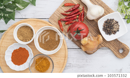 香料咖哩形象│香菜、小茴香、辣椒、薑黃 香料咖哩形象│香菜、小茴香、辣椒、薑黃 103571332