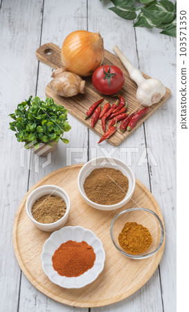 香料咖哩形象│香菜、小茴香、辣椒、薑黃 103571350