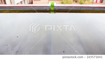 In the gutter there is grass and water 103571641
