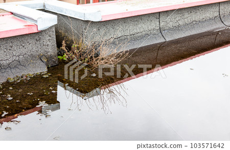 In the gutter there is grass and water In the gutter there is grass and water 103571642