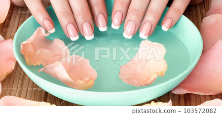 Female fingers with French manicure, blue bowl with water and rose pentals around, selected focus. 103572082
