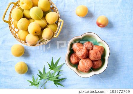 Umeboshi and ripe plum (Kishu Nanko plum) 103572769