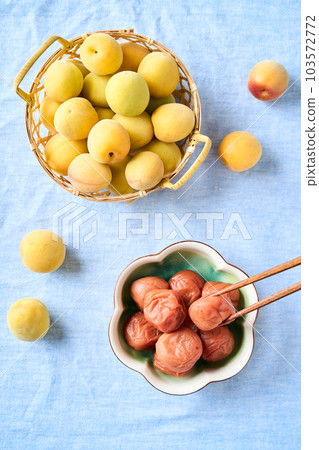 Umeboshi and ripe plum (Kishu Nanko plum) 103572772