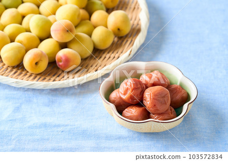 Umeboshi and ripe plum (Kishu Nanko plum) Umeboshi and ripe plum (Kishu Nanko plum) 103572834