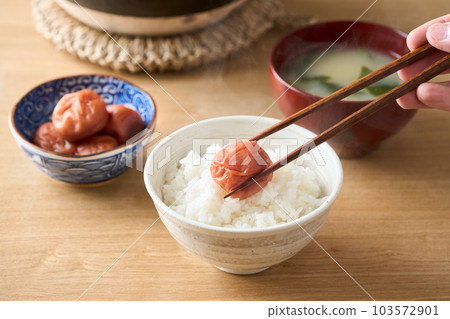 Freshly cooked rice topped with umeboshi 103572901