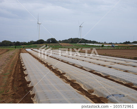 Strolling around Choshi Strolling around Choshi 103572961