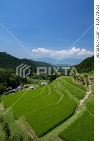 Summer blue sky and rice terraces Summer blue sky and rice terraces 103573053